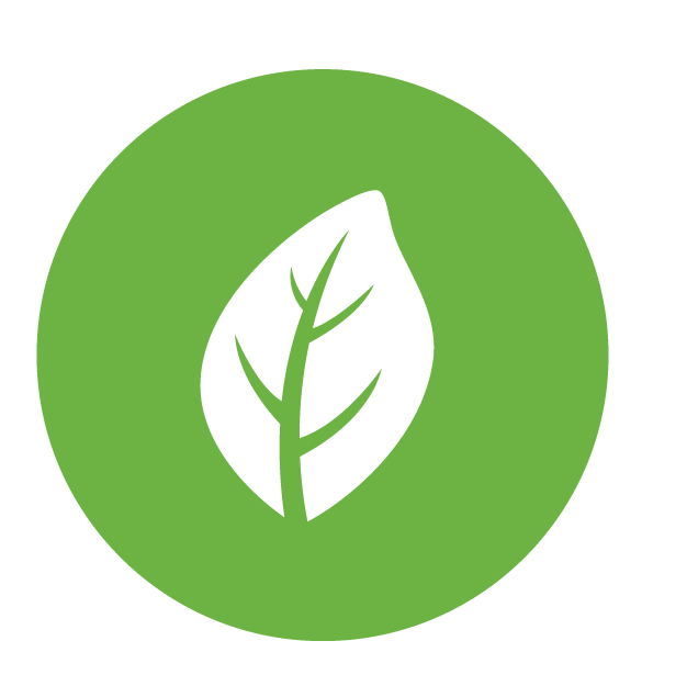 Sustainability icon, enabled. A green leaf.