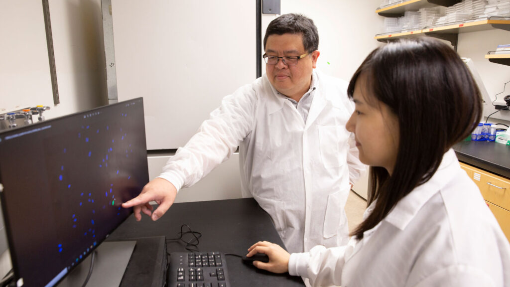 Fulton Schools faculty mentor Mark Wang works with a student in his lab.