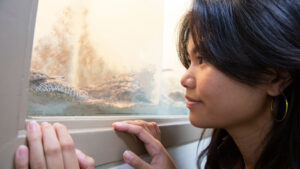 GCSP research stipend student Sofia Vargas looks at an Arizona rattlesnake.