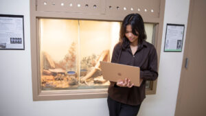 GCSP research stipend student Sofia Vargas works on a laptop with an Arizona rattlesnake on display behind her.