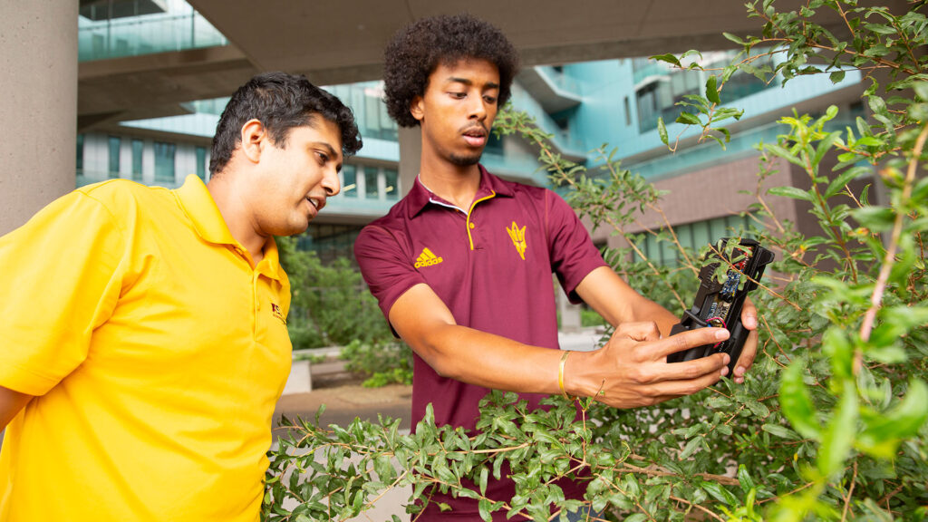 Saurav Kumar and Ahadu Assegued look at a device in front of a plant.