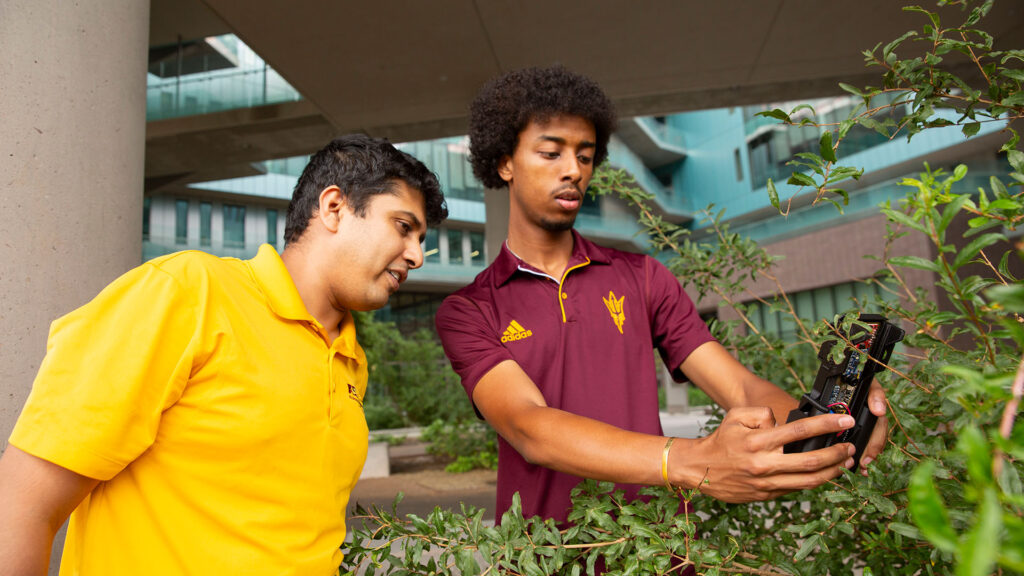 Ahadu Assegued uses a device to analyze a plant.