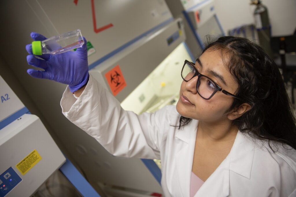 Chiya Goyal examines a culture flask while working at a biosafety cabinet in a lab
