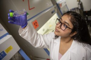 Chiya Goyal examines a culture flask while working at a biosafety cabinet in a lab